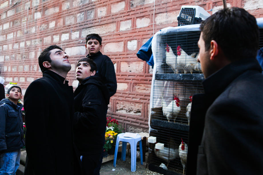 Turkish boys at a street market selling flowers and birds near the famous Yeni Cami mosque in Istanbul.