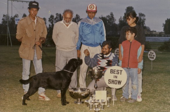 My parents at various dog shows in the 1970's and 1980's. Photograph courtesy of Karan Vaid.